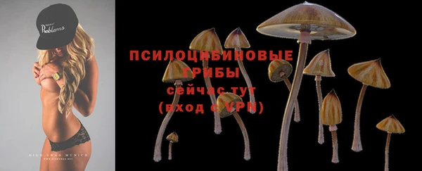 дурь Аркадак