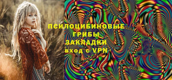 СК Арсеньев